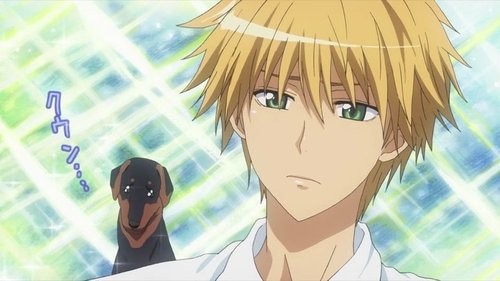 Usui